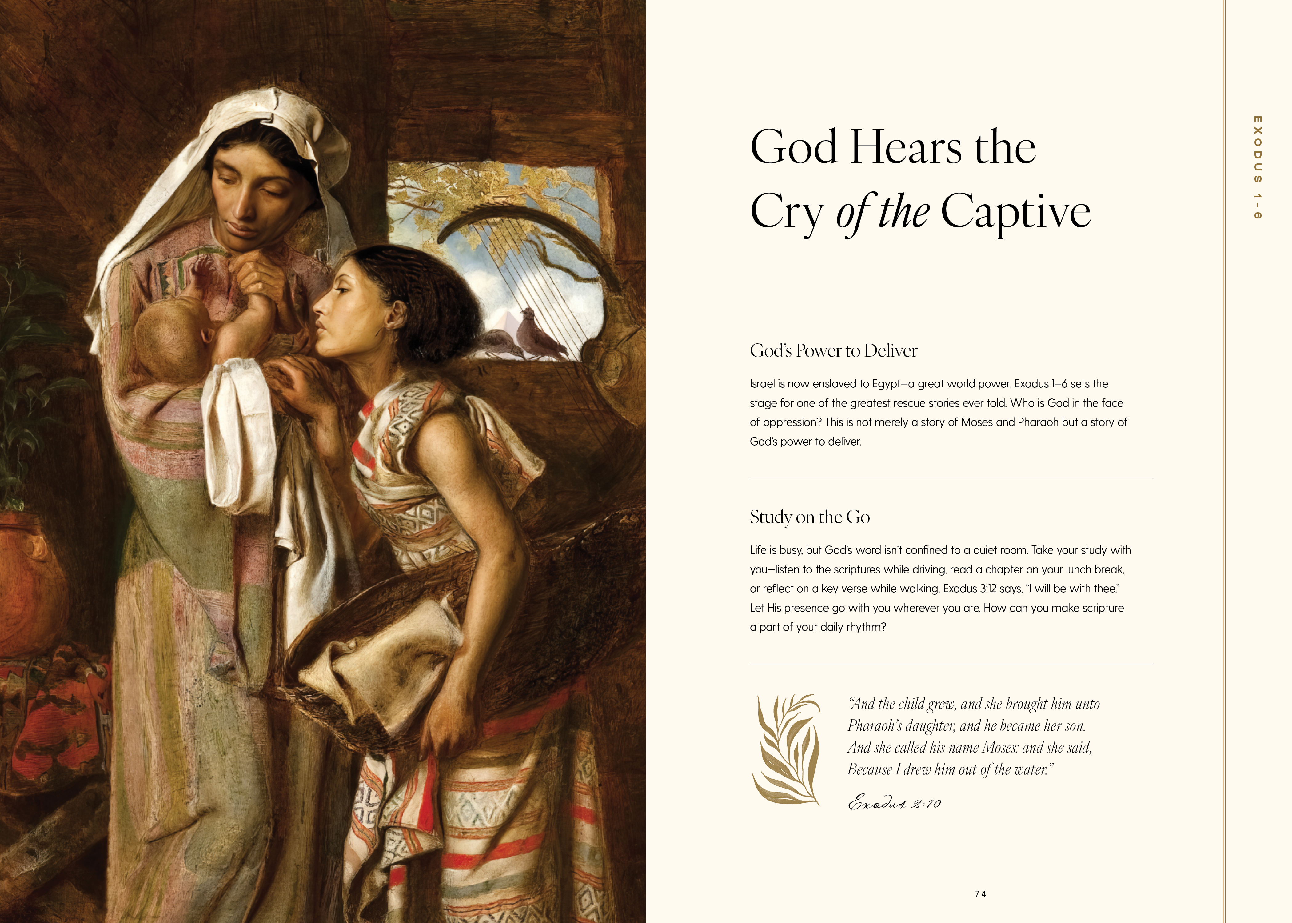 Seek: A Guided Journey Through the Old Testament, , large image number 4
