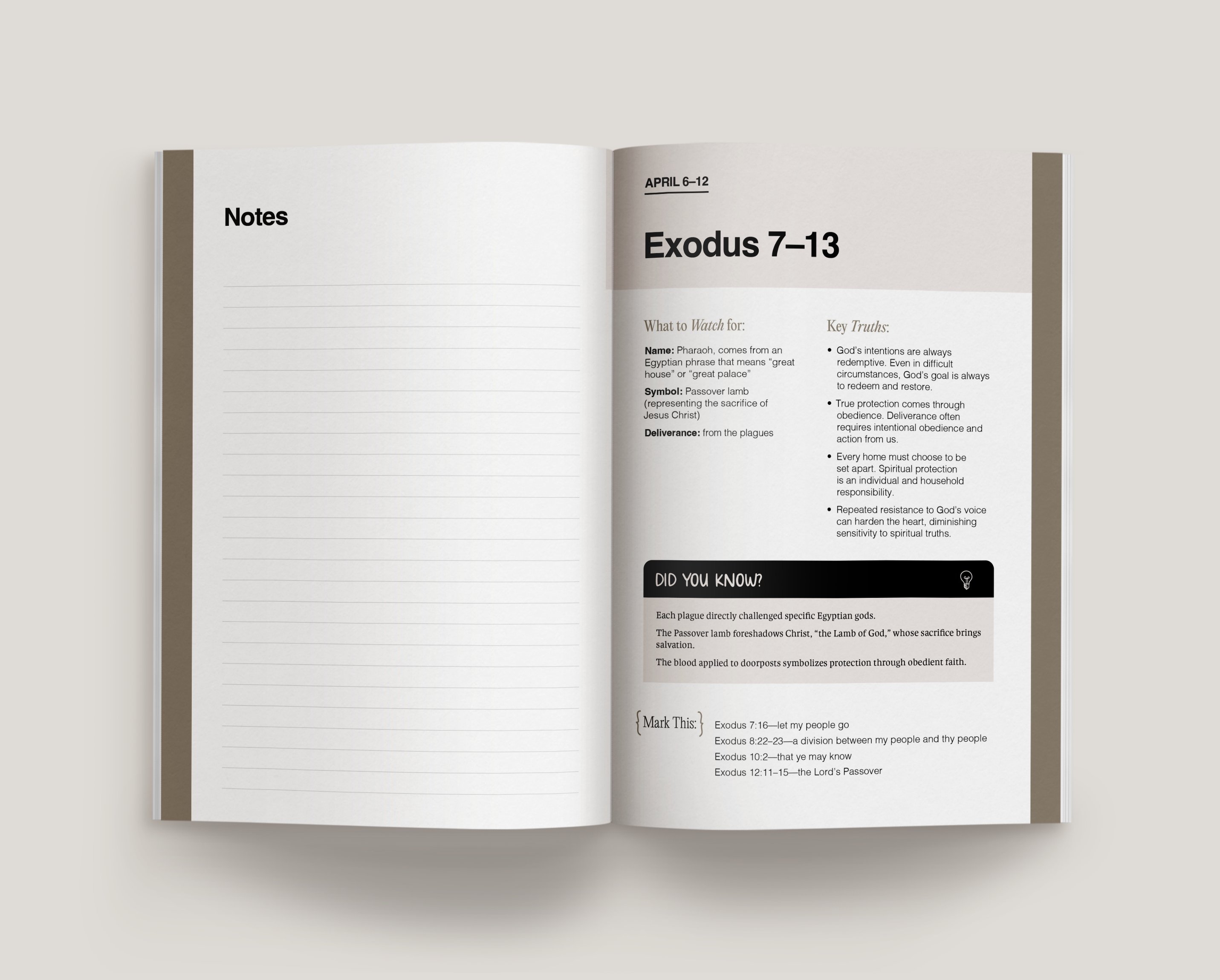 Don't Miss This 2026 Old Testament Study Journal, , large image number 5