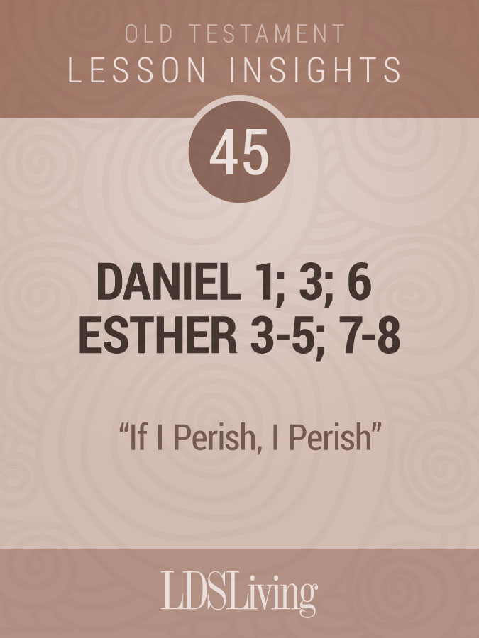 Lesson Insights Old Testament #45