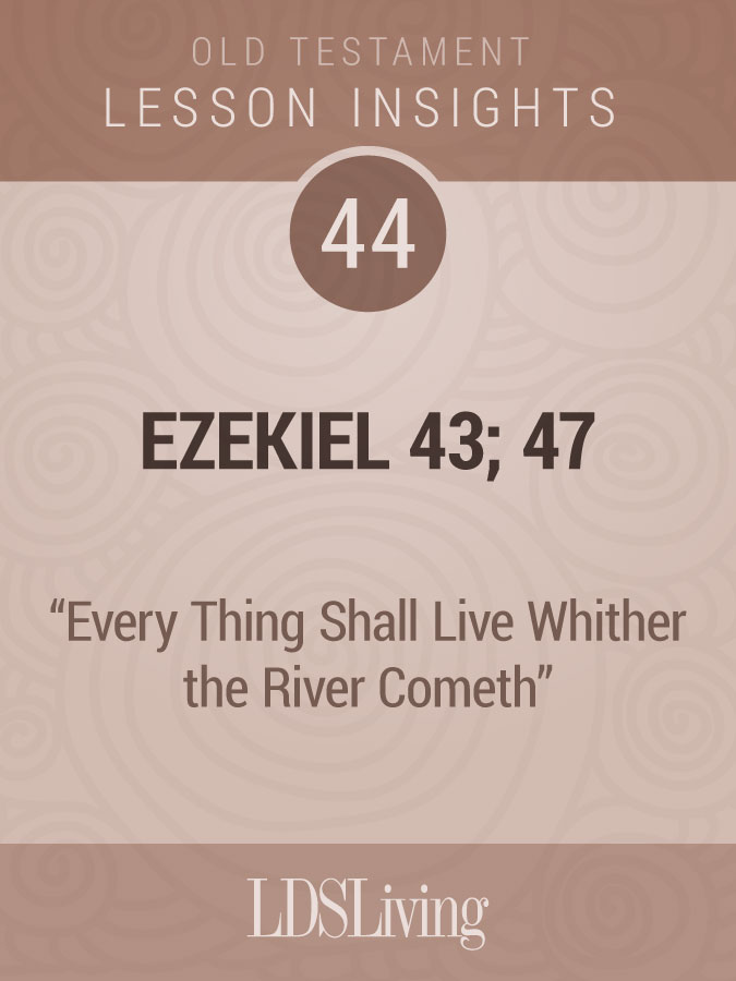 Lesson Insights Old Testament #44