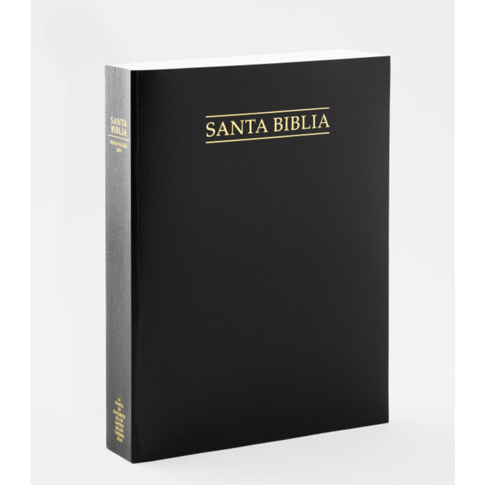 Spanish Holy Bible, Economy Extra Large, Unindexed