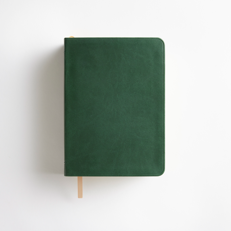 Holy Bible Simulated Leather, Regular Indexed (Color Options), , large image number 12