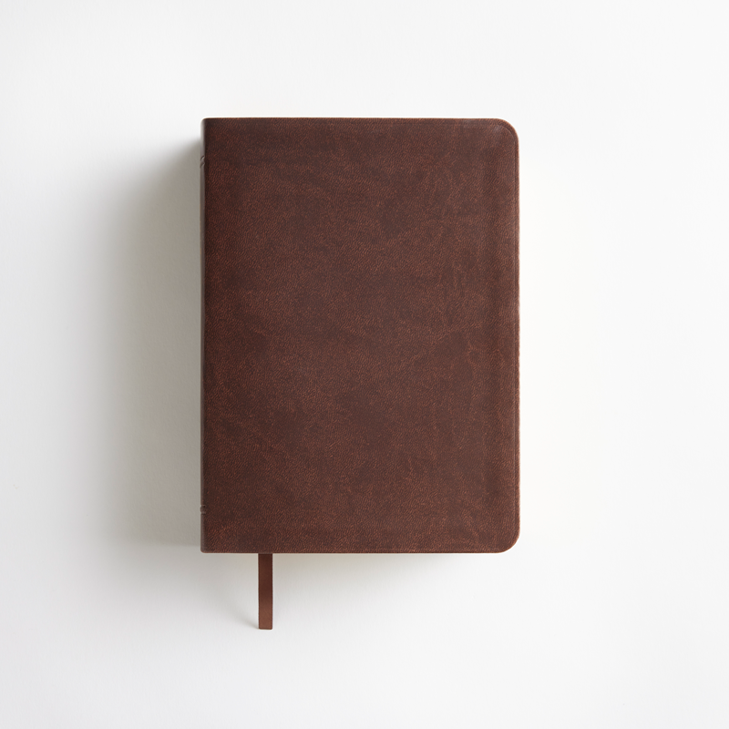 Holy Bible Simulated Leather, Regular Indexed (Color Options), , large image number 9