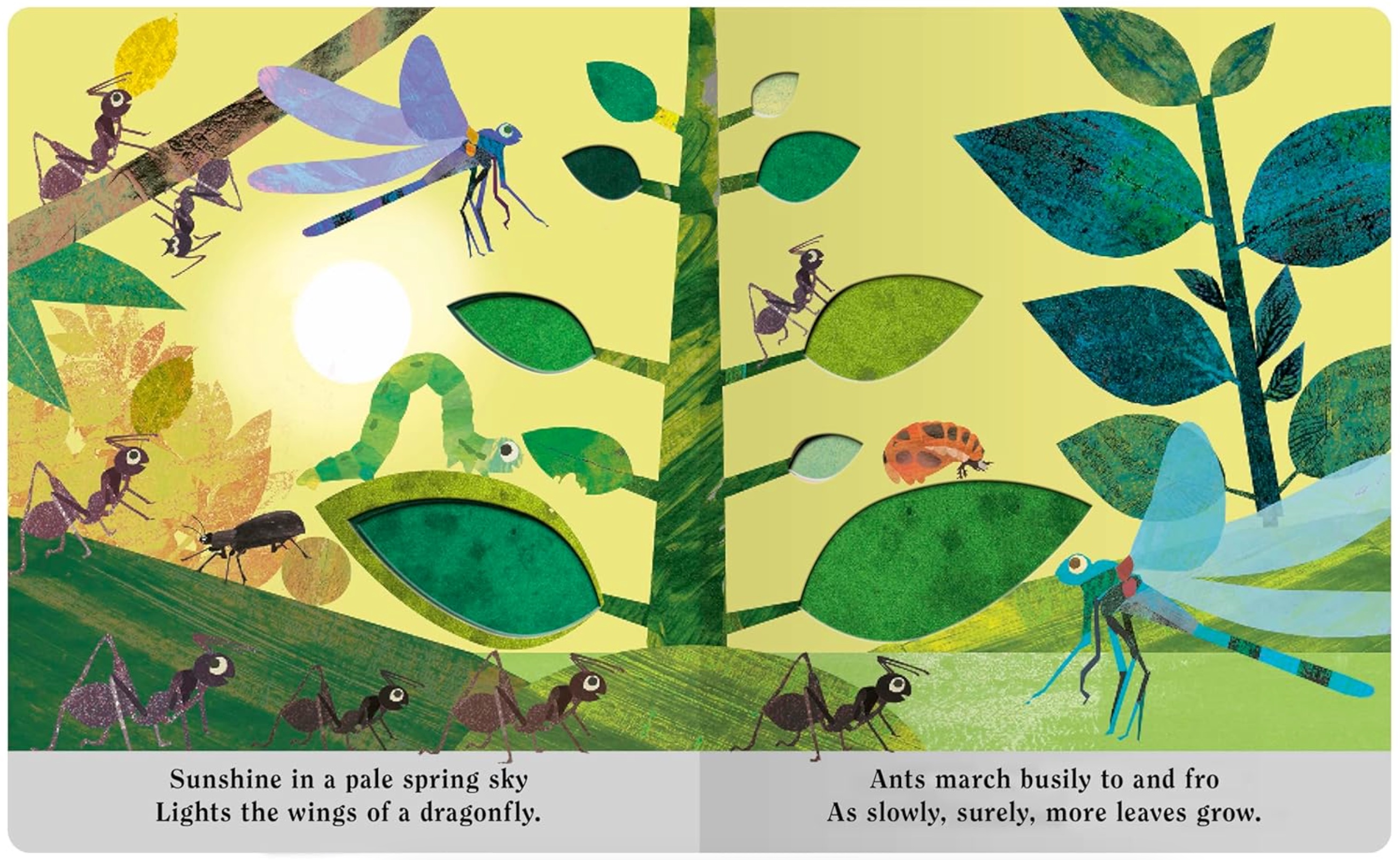 Bugs: A Peek-Through Board Book, , large image number 2