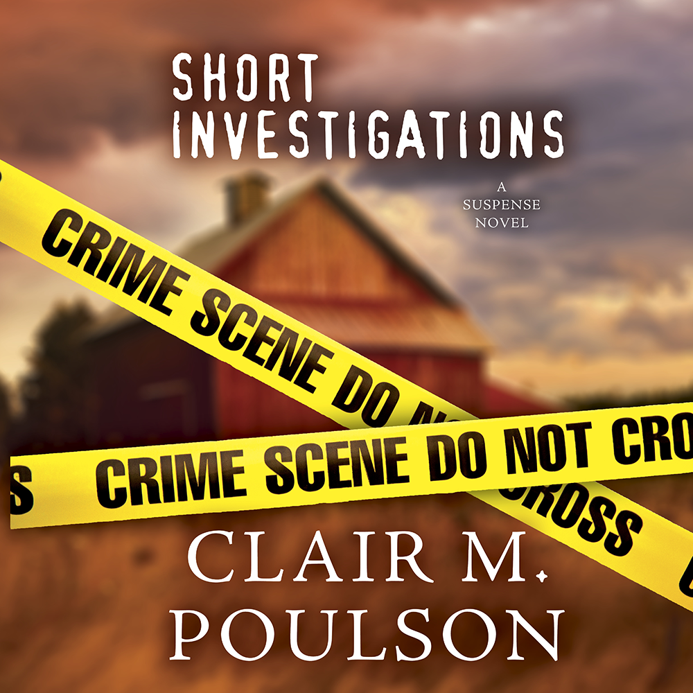 Short Investigations, , large