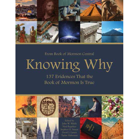 Knowing Why, , large image number 0