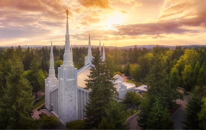 Portland Temple Recommend Holder, , large