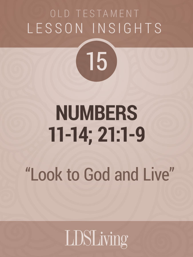 Lesson Insights Old Testament #15