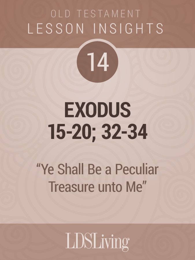 Lesson Insights Old Testament #14