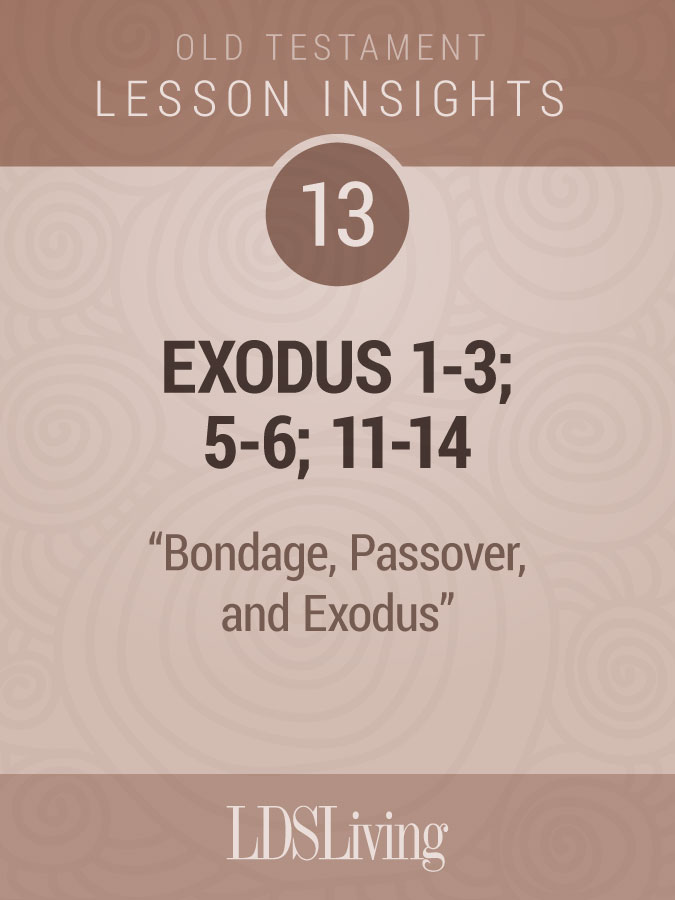 Lesson Insights Old Testament #13