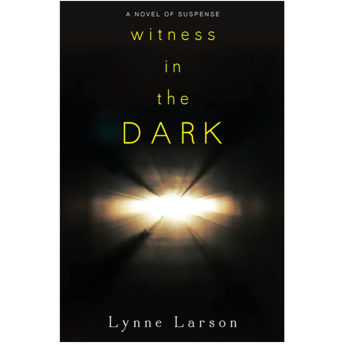 Witness in the Dark