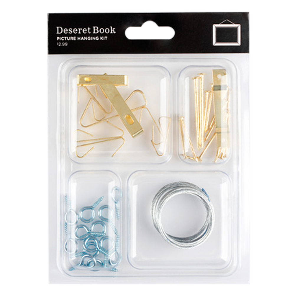 Picture Hanging Kit