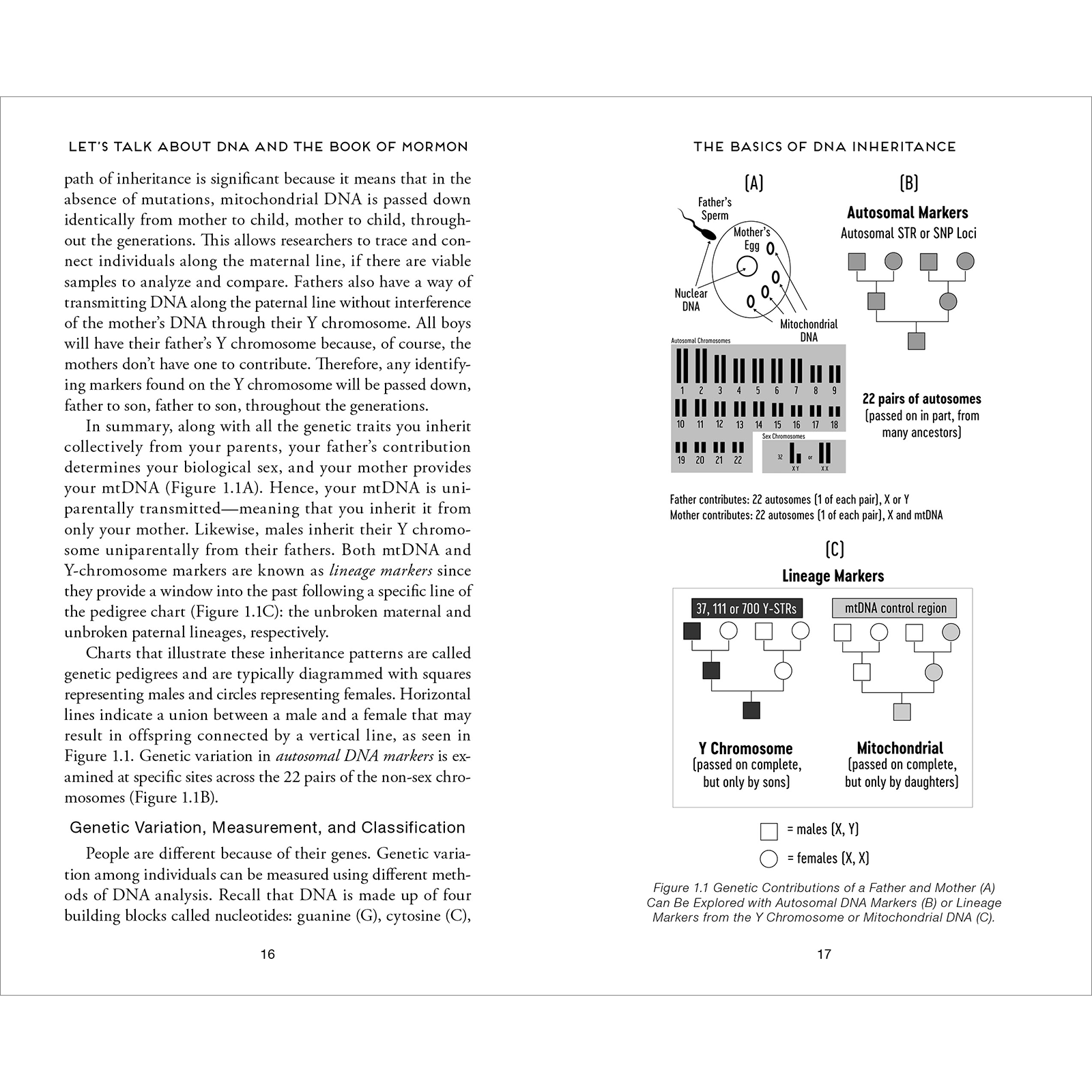 Let's Talk About Misconceptions with DNA and the Book of Mormon, , large image number 5