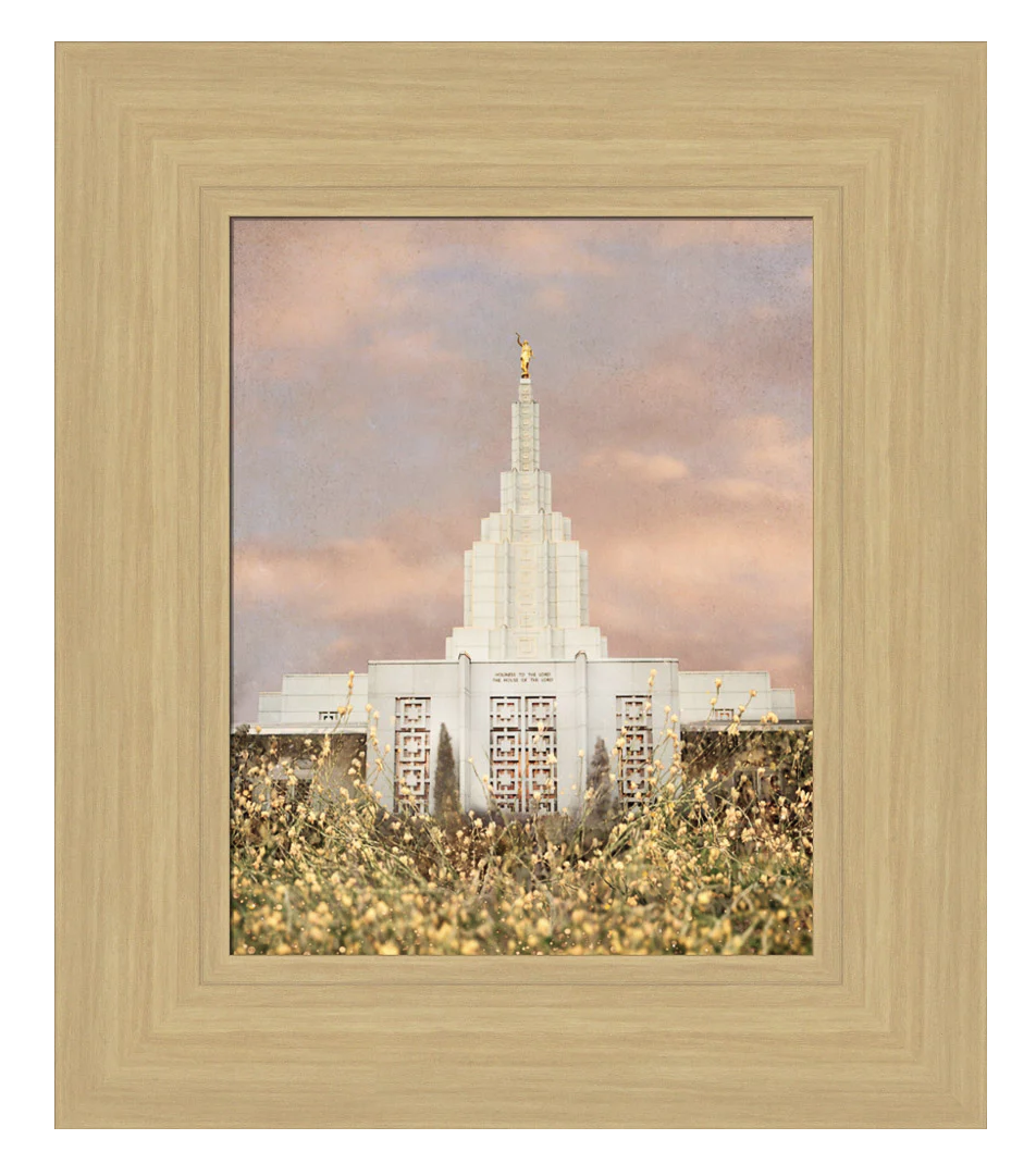 Idaho Falls Idaho Temple - Giving Rest (12x14 Framed Paper Print)