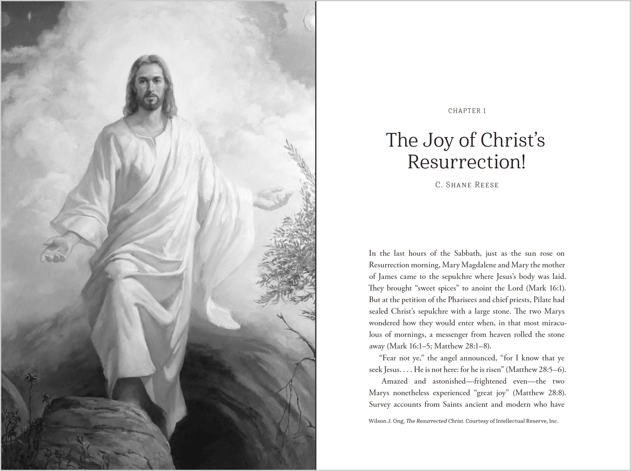 Life in Christ, , large image number 3