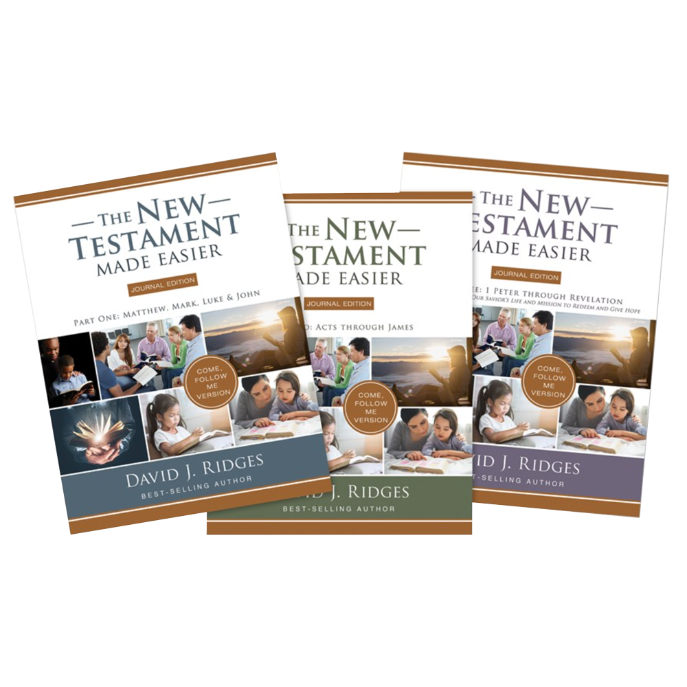 The New Testament Made Easier Journal Edition