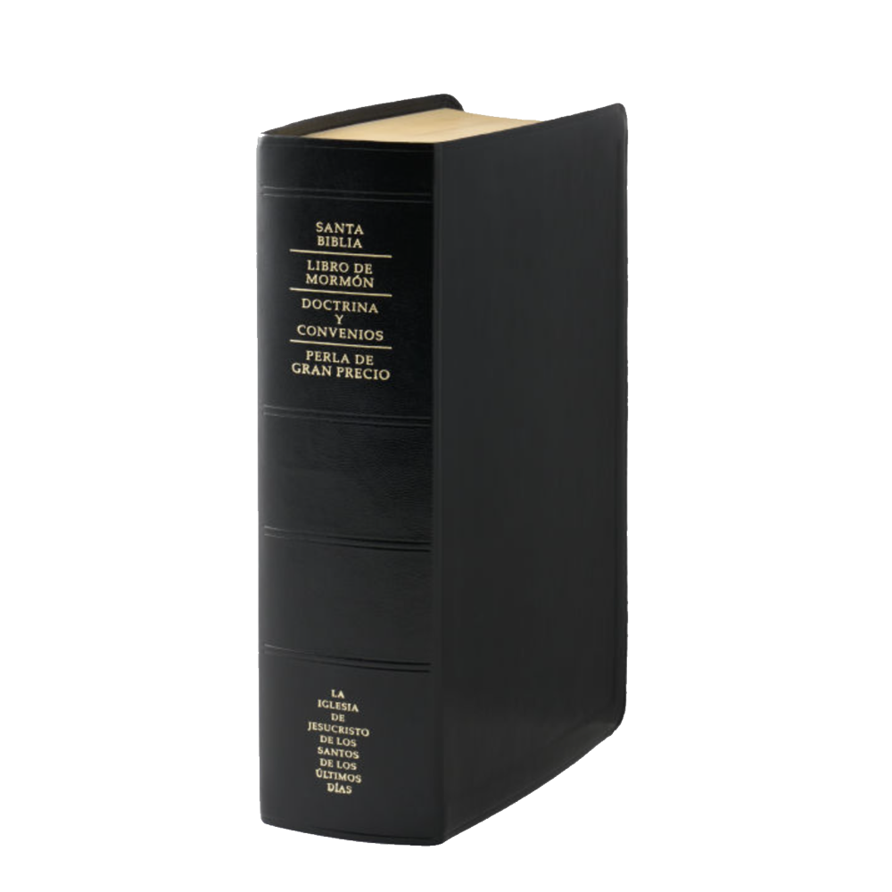 Spanish Quad Combination, Simulated Leather Regular, Indexed Black