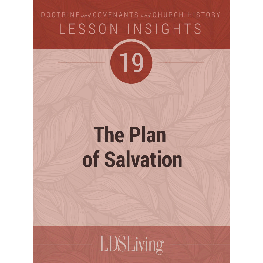Lesson Insights Doctrine and Covenants and Church History #19