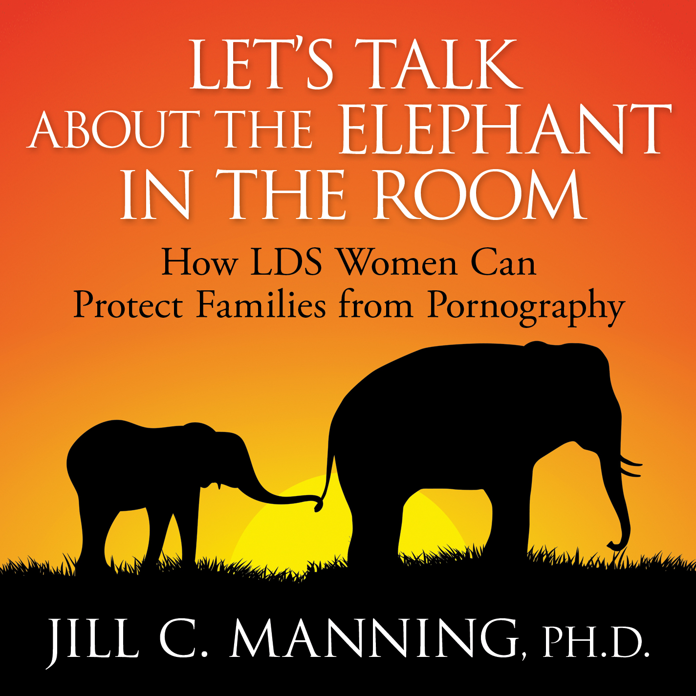 Let's Talk About the Elephant in the Room