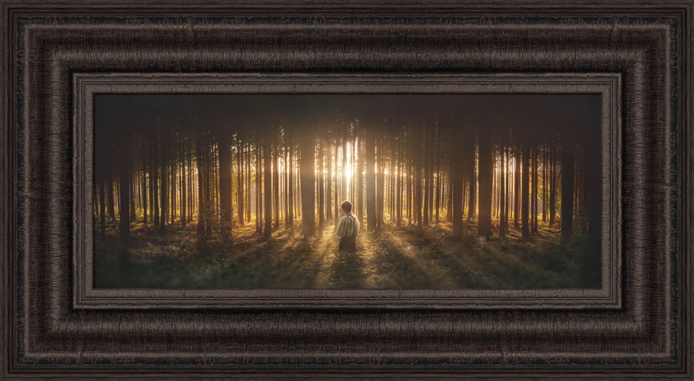 Desires of Heart (14x26 Framed Art)