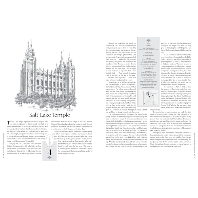 Temples of the New Millennium, , large image number 3