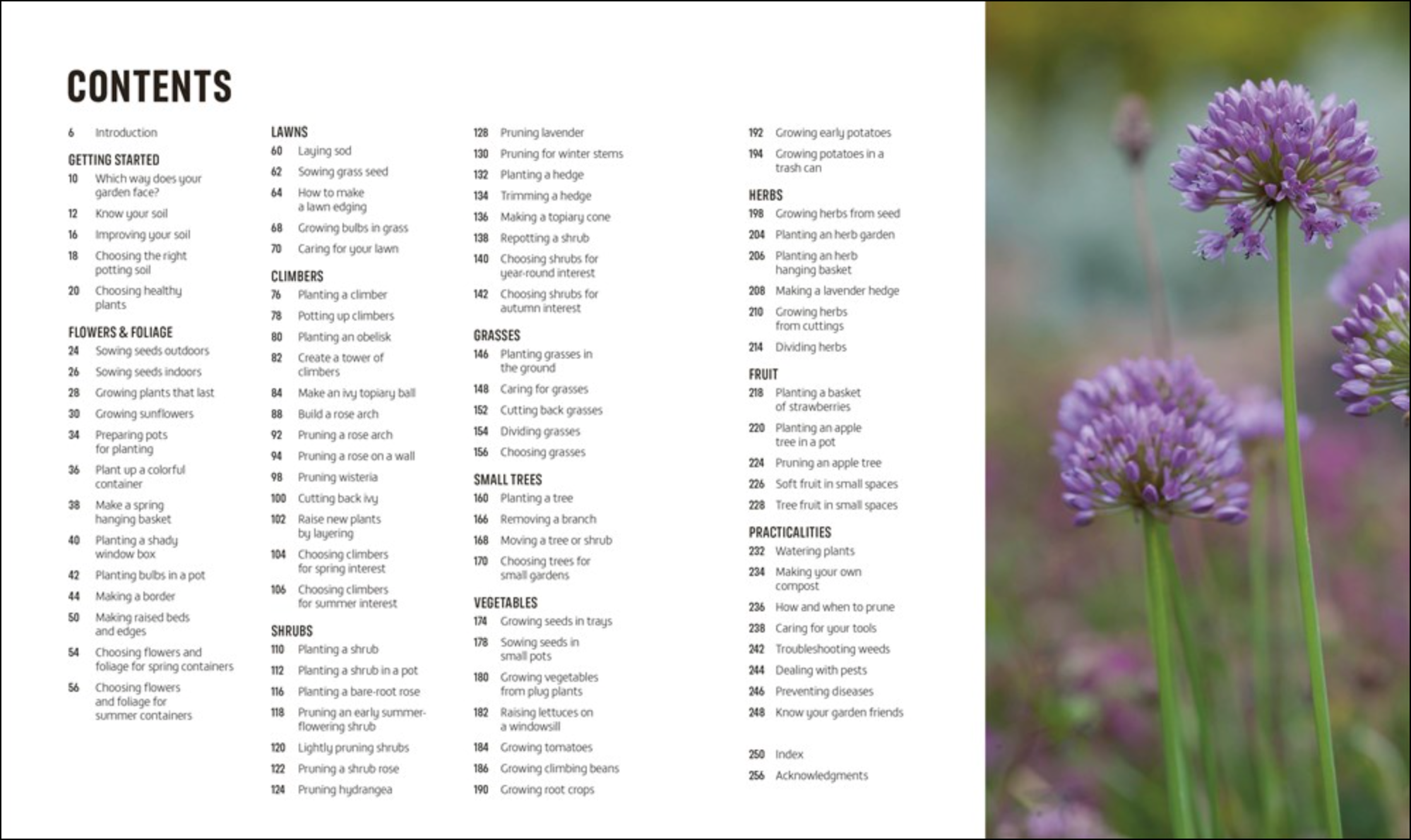 Beginner Gardening Step by Step, , large