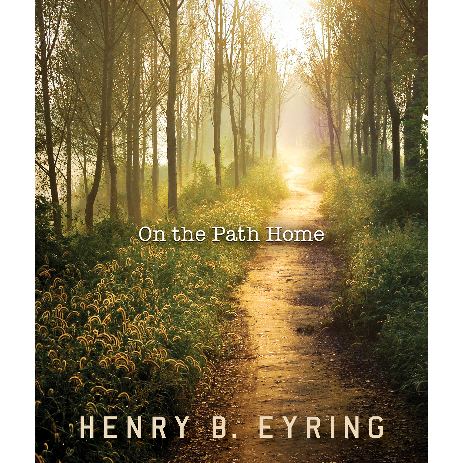On the Path Home, , large image number 0