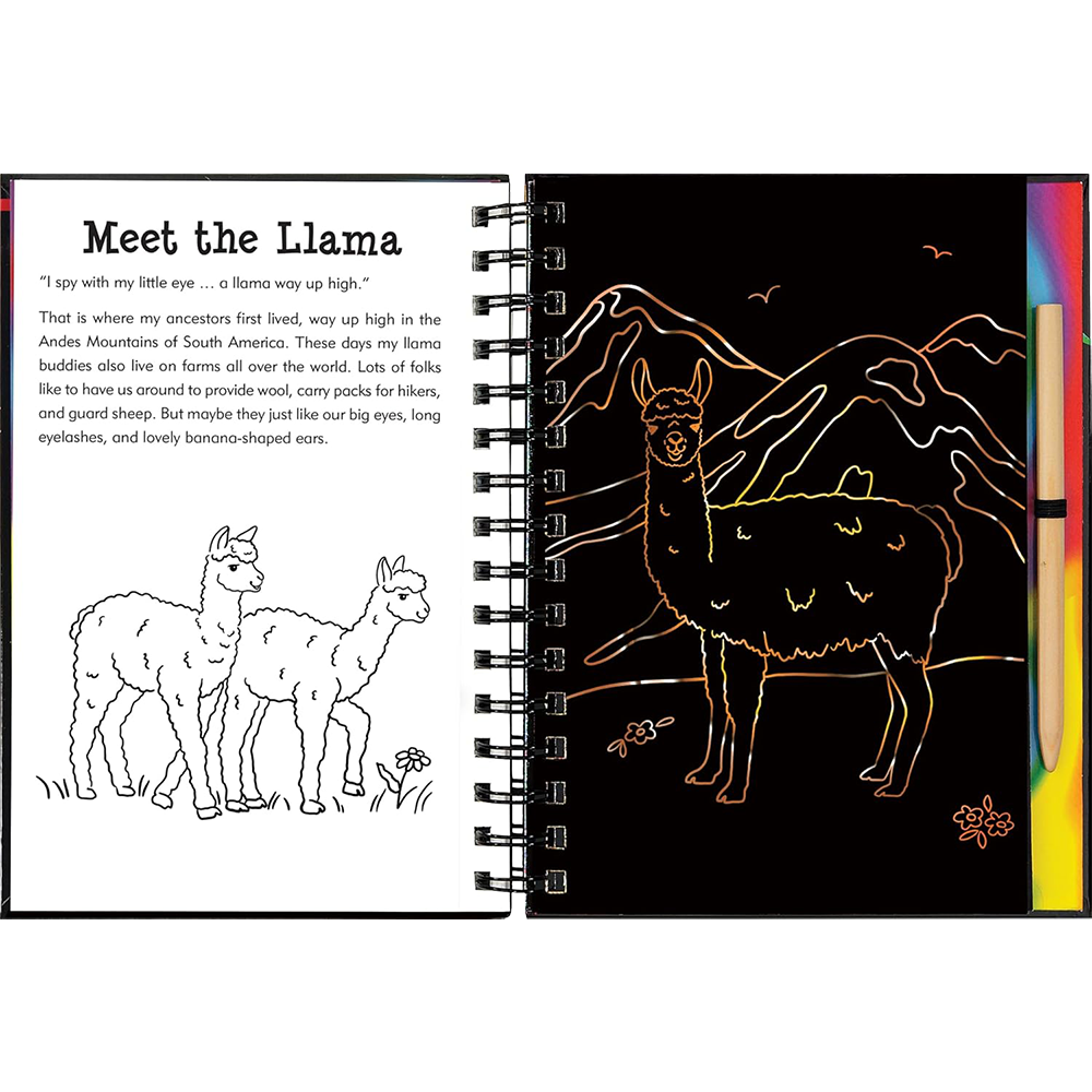 Llamas And Friends, , large image number 2