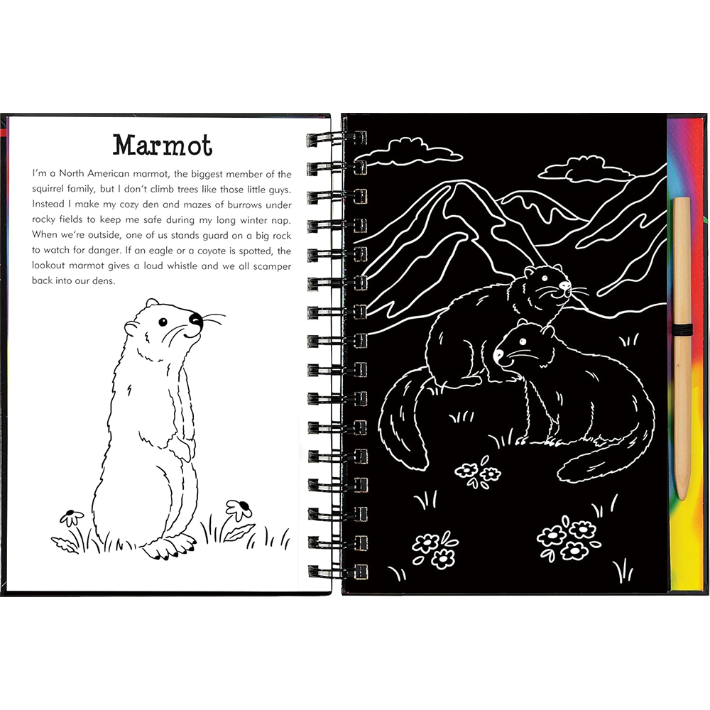 Llamas And Friends, , large image number 4