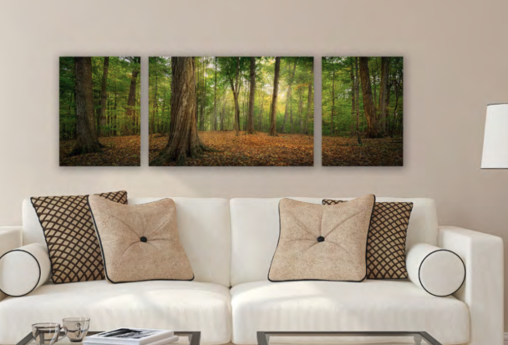 Oh, How Lovely Was the Morning Triptych (48x16 Gallery Wrap), , large image number 1