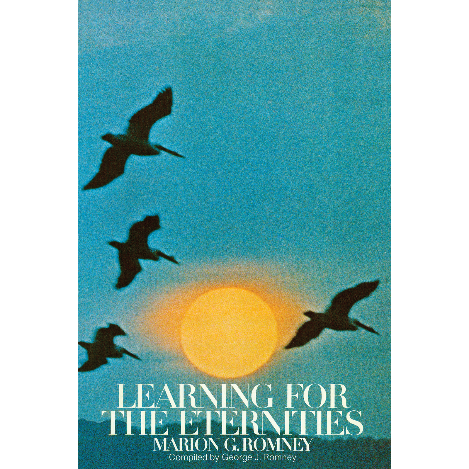 Learning for the Eternities